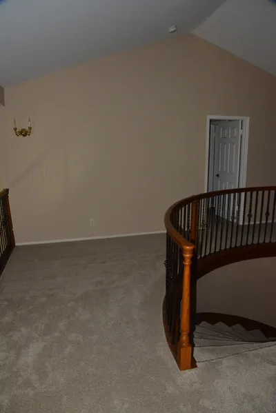 DSC_7362 (Large).JPG